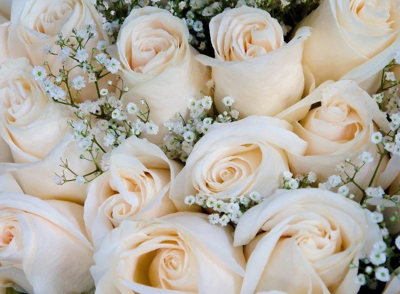 כמה להביא לחתונה